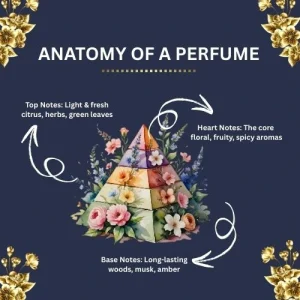 A fragrance pyramid diagram, showing **top notes, heart notes, and base notes** with real-life ingredient visuals (e.g., lemons and mint for top notes, roses and jasmine for heart, musk and cedar for base).