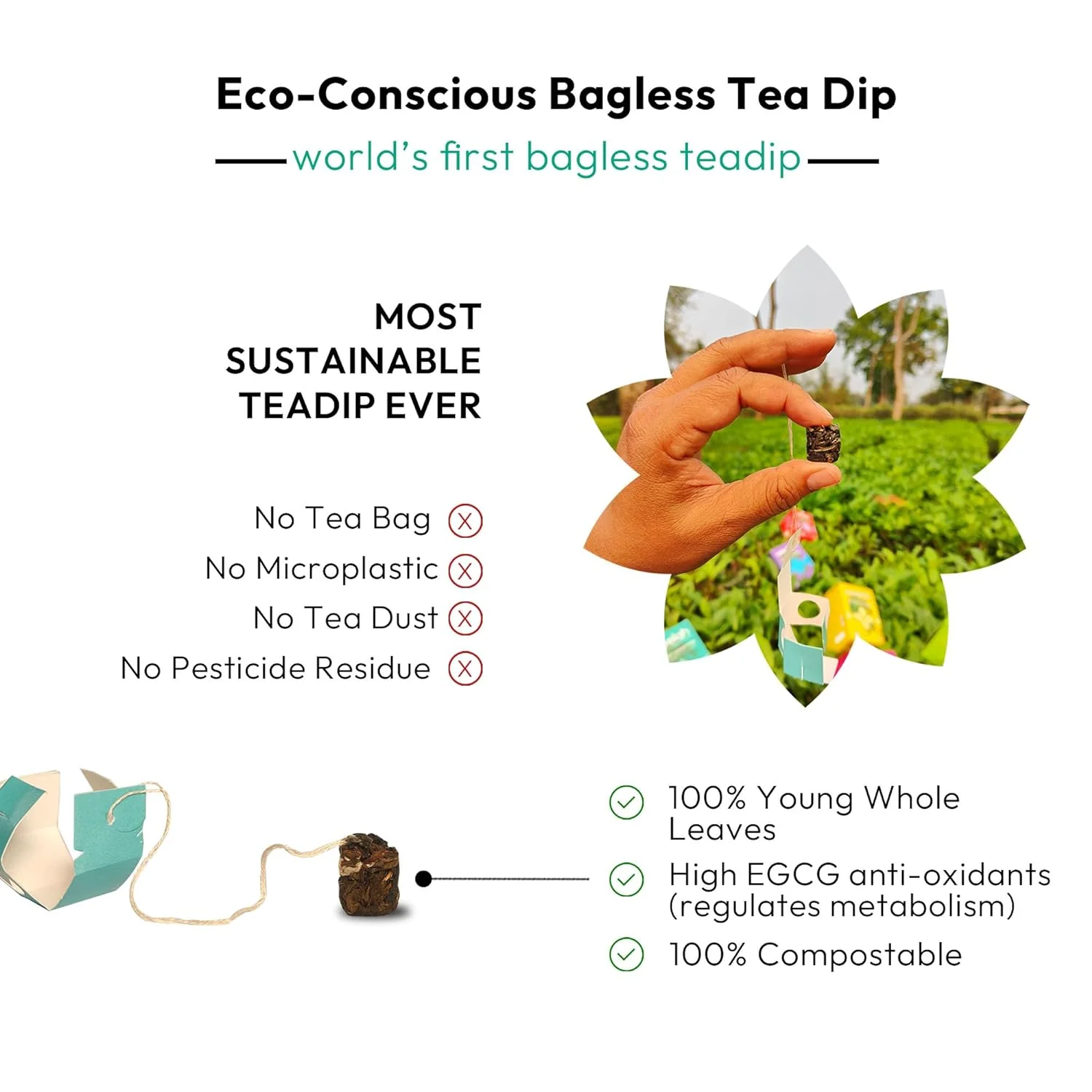 Rare Assam Green Tea- Authentic | Fresh Harvest - Image 2